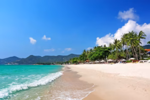 Koh Samui’s white‑sand beach with turquoise water and palm trees, featured as the world’s best island in Travel + Leisure’s 2026 World’s Best Awards - Latest Travel News
